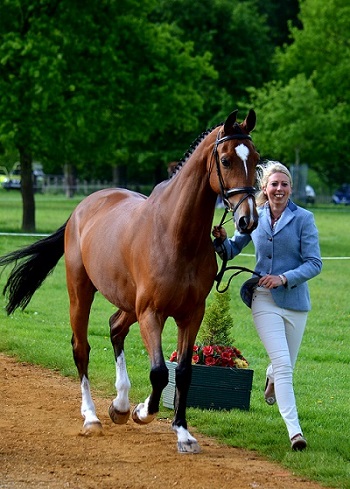 beau_trot_up.jpg