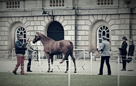 Houghton_trot_up.jpg