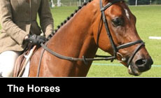 The Horses