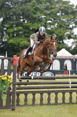 Shannondale Sparky - Gatcombe