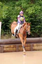 Shannondale Sparky - Gatcombe