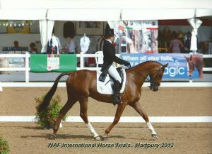 Harry_Hartpury_dressage.jpg